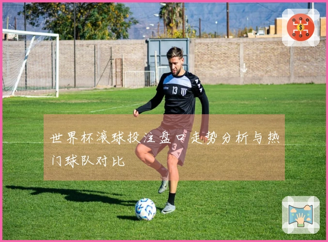 世界杯滚球投注盘口走势分析与热门球队对比