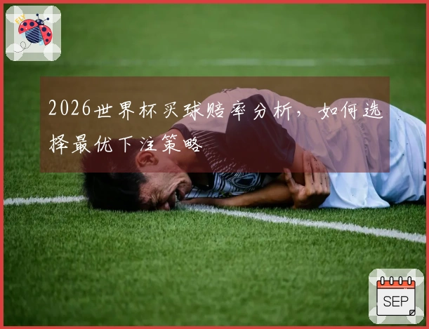 2026世界杯买球赔率分析，如何选择最优下注策略