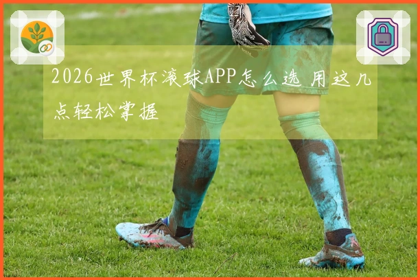 2026世界杯滚球APP怎么选 用这几点轻松掌握