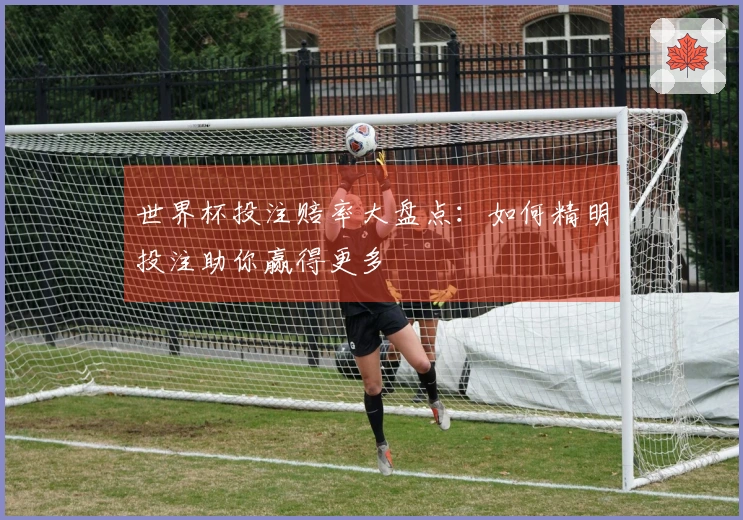 世界杯投注赔率大盘点：如何精明投注助你赢得更多