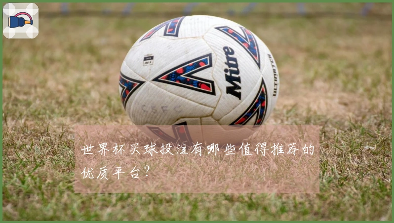 世界杯买球投注有哪些值得推荐的优质平台？