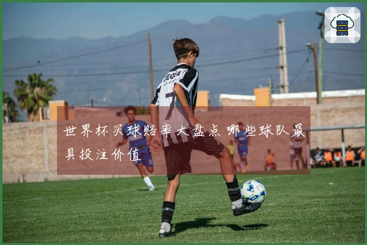 世界杯买球赔率大盘点 哪些球队最具投注价值