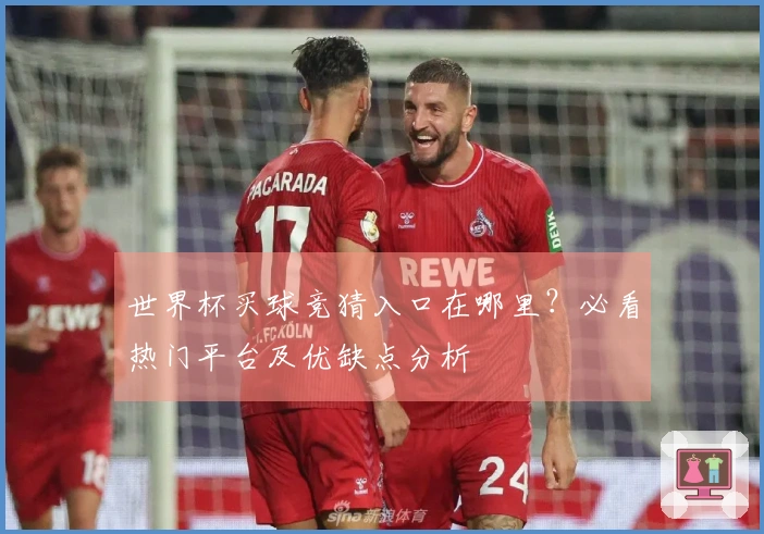 世界杯买球竞猜入口在哪里？必看热门平台及优缺点分析