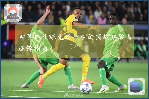 世界杯让球竞猜平台的实战经验与选择指南