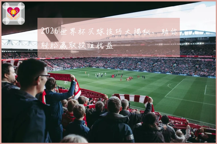 2026世界杯买球技巧大揭秘，助你轻松赢取投注收益