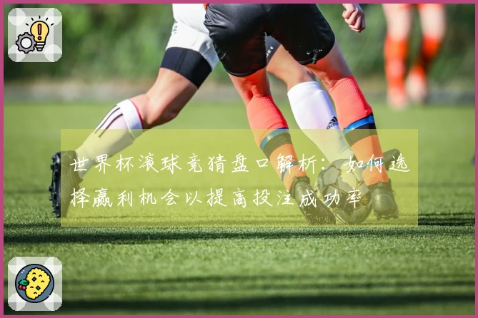 世界杯滚球竞猜盘口解析：如何选择赢利机会以提高投注成功率