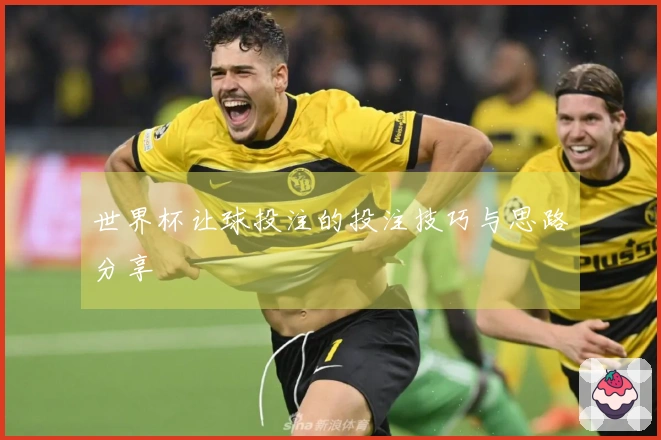 世界杯让球投注的投注技巧与思路分享